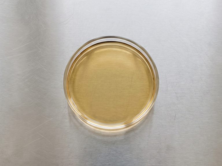Liquid food supplement manufacturing including omega-3 oils, vitamin drops, syrups and emulsions produced on dedicated GMP lines.