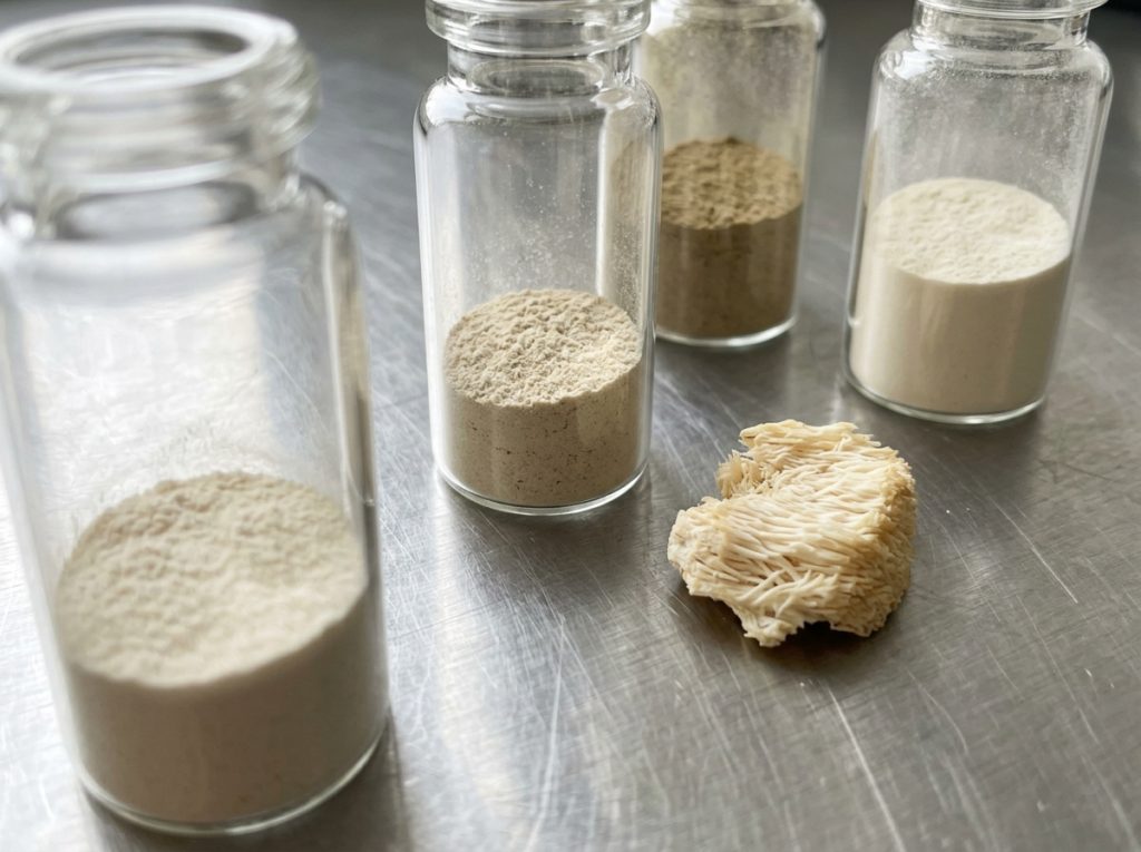 Lion’s mane and botanical powders used in brain and cognitive supplement formulations – Noviatic.