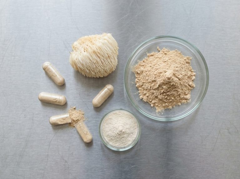 Functional mushroom, botanical powder and capsules for brain and cognitive supplement formulations – Noviatic.